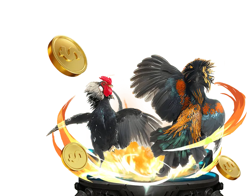 Chiến thuật săn cá bec 88