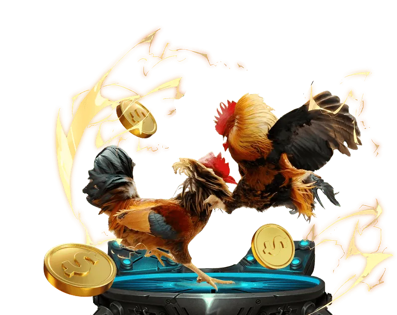 Các sản phẩm và dịch vụ đa dạng của bec 88